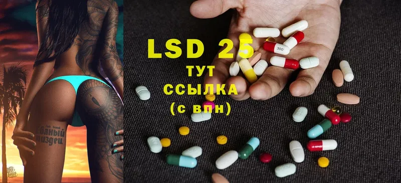 LSD-25 экстази ecstasy  как найти наркотики  Кировград 